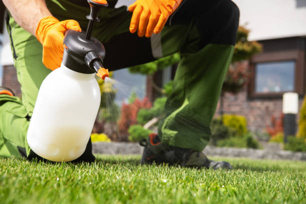 Bird Control in Lambertville, MI
